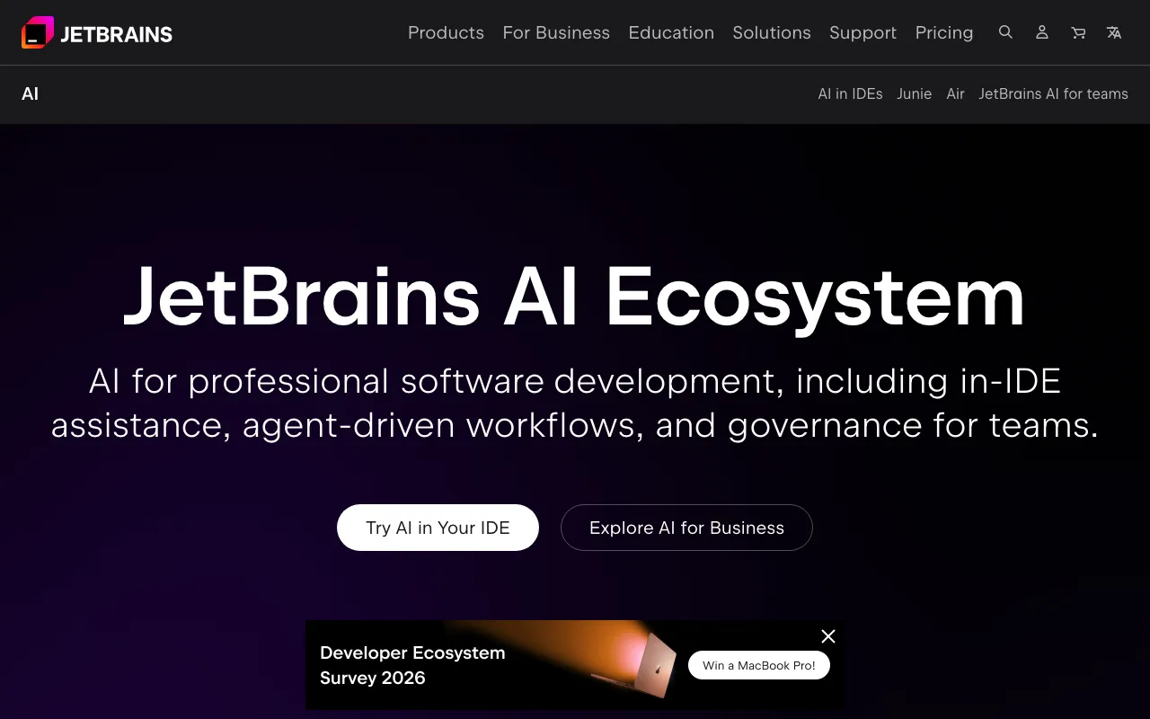 Screenshot of JetBrains AI